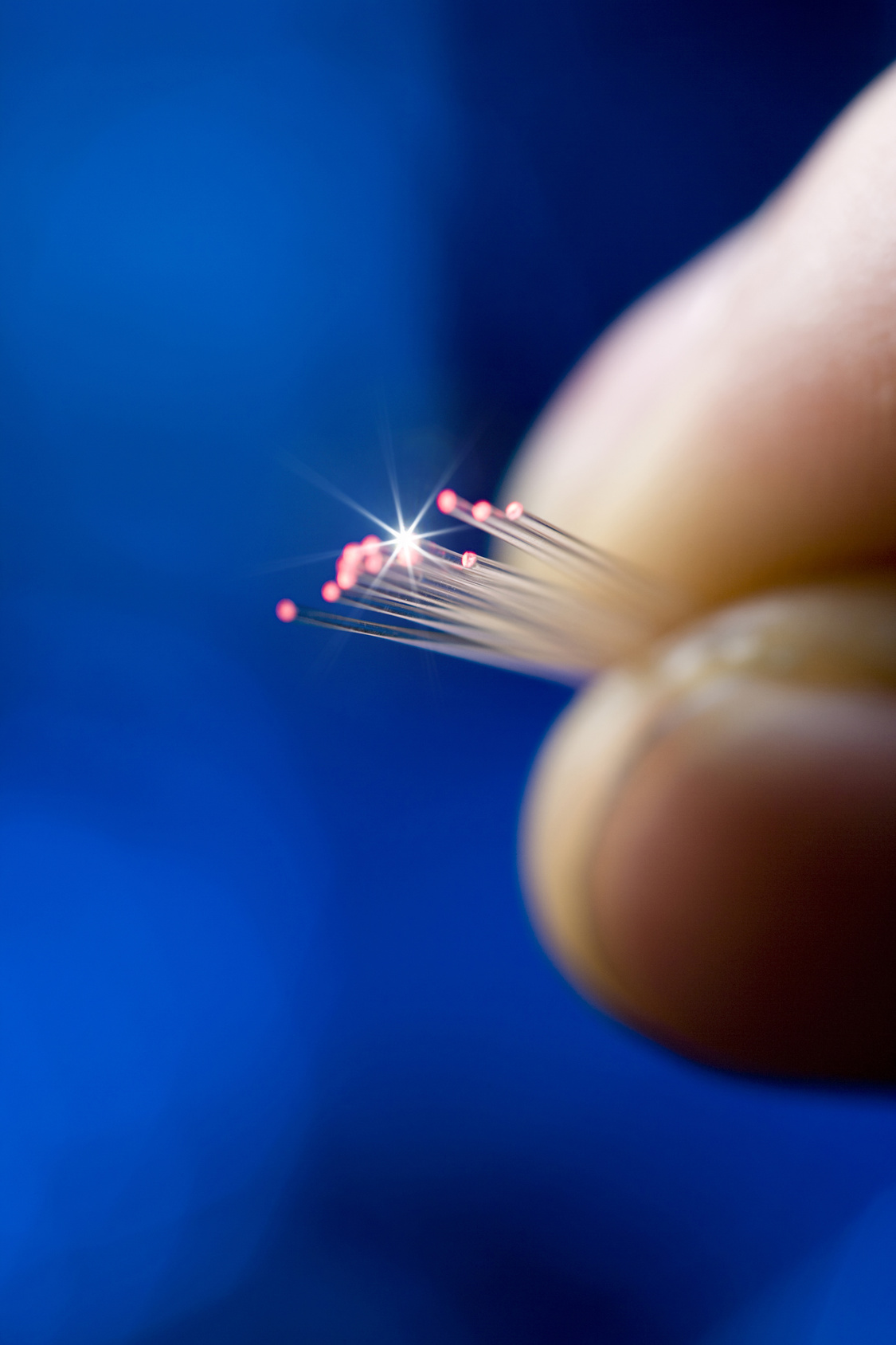 More than Just Broadband ~ Fiber Optics More than Just Broadband ~ Fiber Optics